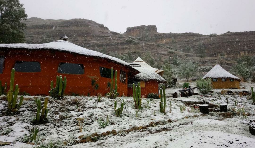 20200725_080036 - Copy